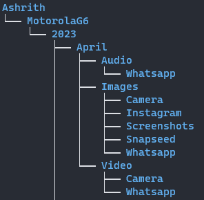 Directory Structure